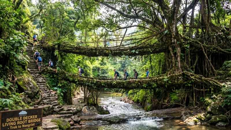 Cherrapunji is one of the Best Places to Visit in Summer in India - Double Decker Root Bridge