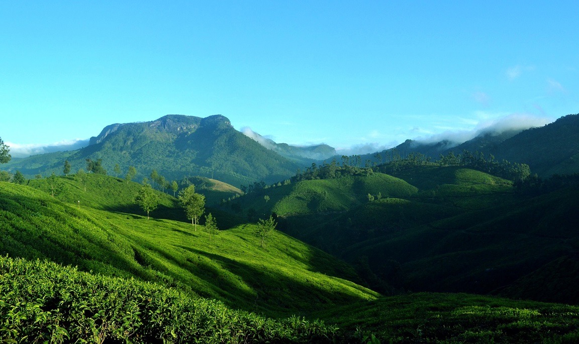 Munnar is one of the Best Places to visit in the Summer in India