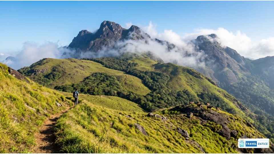 Munnar Stands among the Best Places to Visit in Summer in India