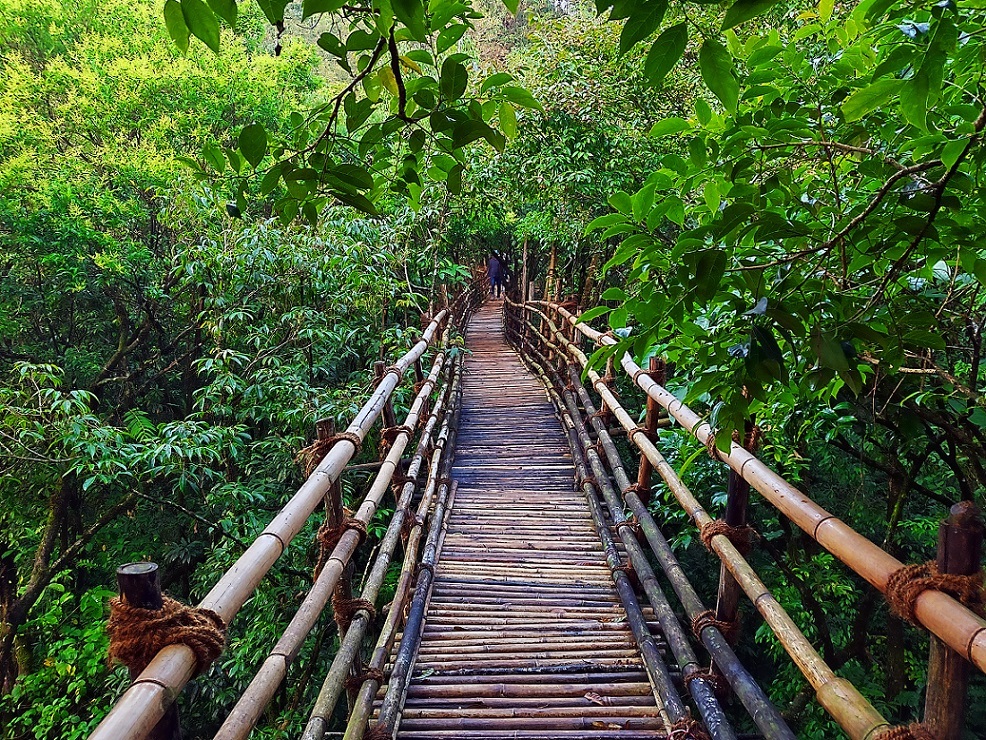 Garden of Caves - Bamboo Bridge