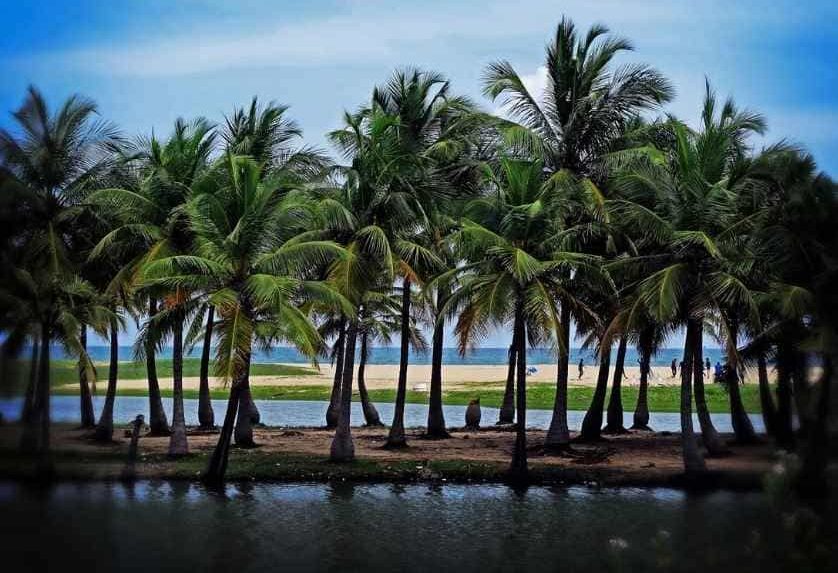 Places to visit in Puducherry and History