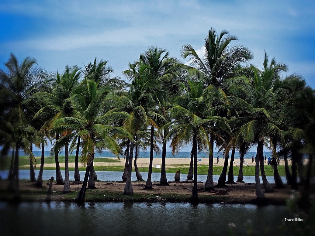 Things to Do in Pondicherry – Veerampattinam Beach 2