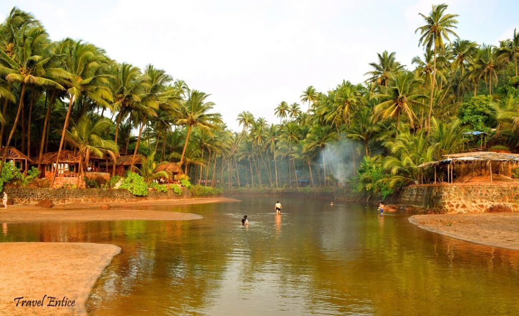 backwater at Cola beach in Goa