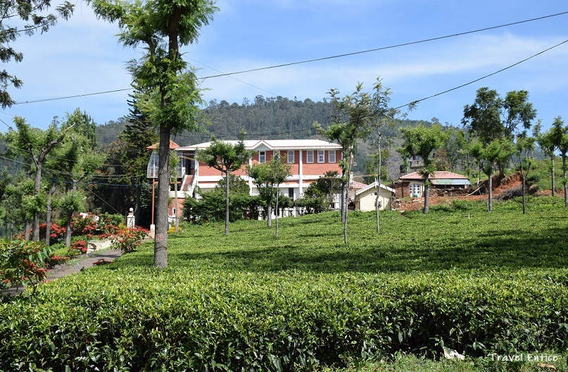 14 Best Places to visit in Coonoor Hill Station - High Fields Tea Factory