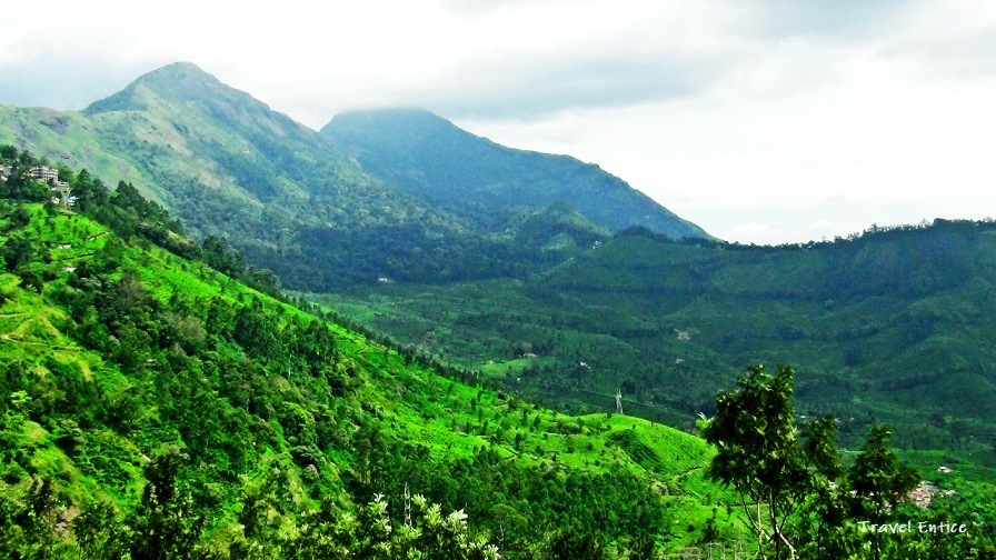 Munnar Tourist Places - 12 Best Places to Visit in Munnar Hill Station India 4.