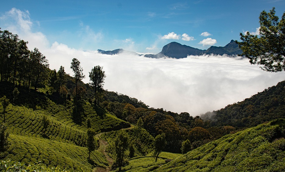 Munnar Tourist Places - 12 Best Places to Visit in Munnar Hill Station India - top station