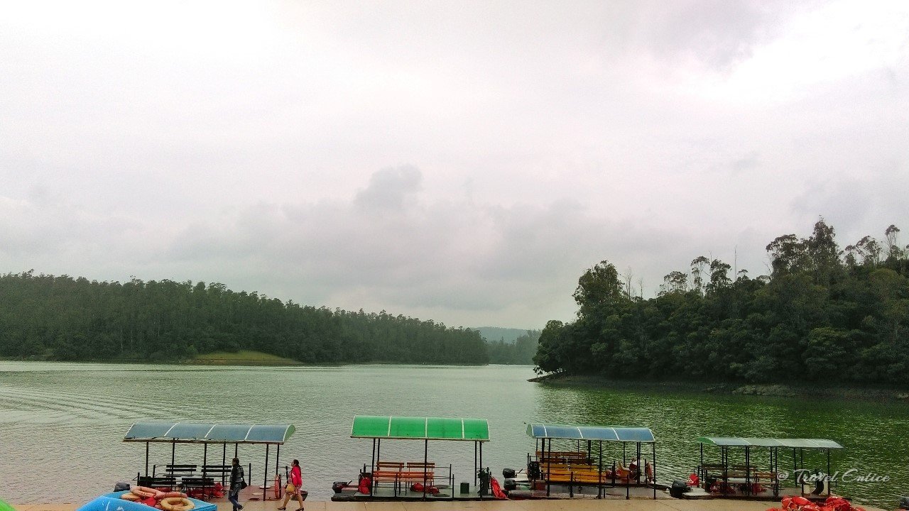 Read more about the article Pykara Lake in Ooty: Know before planning your trip!