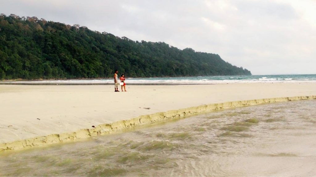 Backwater in Radhanagar Beach during low tide