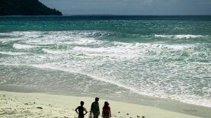Read more about the article Radhanagar Beach in Havelock Island: The Complete Tour Guide