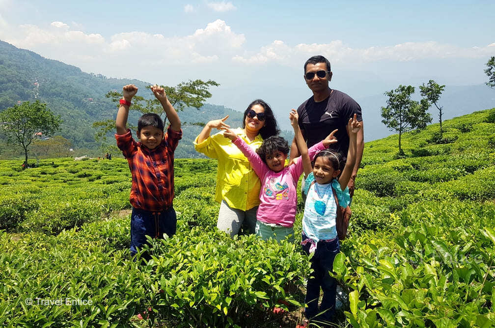 Glory of Peshok Tea Garden