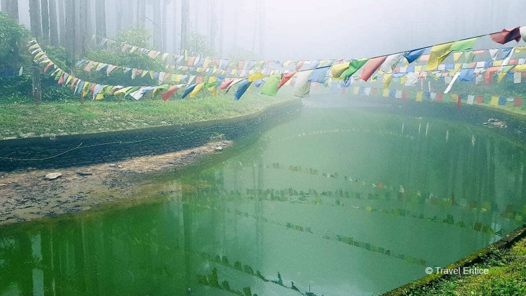 Sacred pond at Lamahatta Eco Park