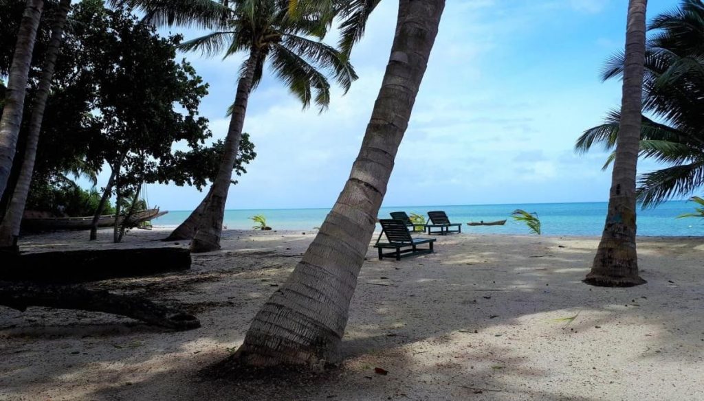 White Coral is one of the best beachfront luxury resort in Havelock Island (Swaraj Dweep)