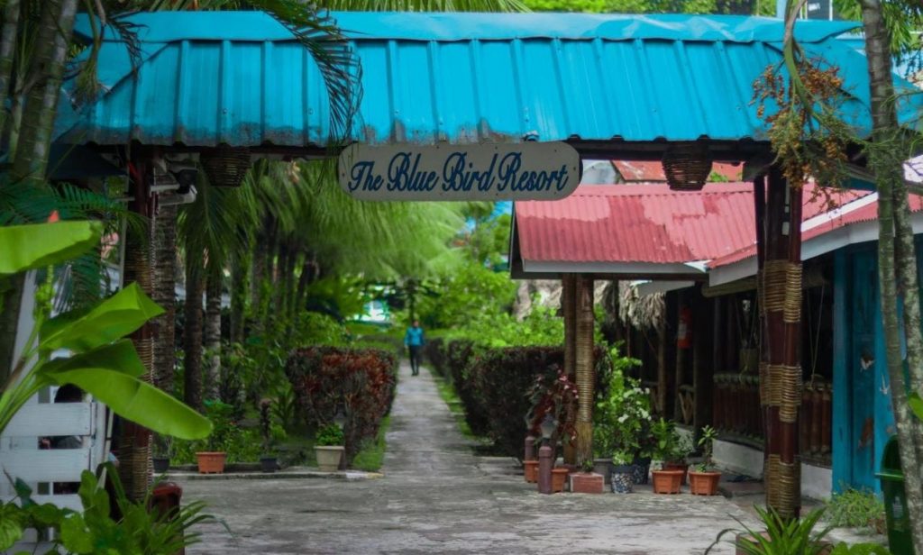 Blue Bird Resort is among 10 best luxury resorts in Havelock Island (Swaraj Island)