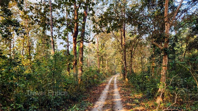 Jayanti - Rajabhat Khawa Forest