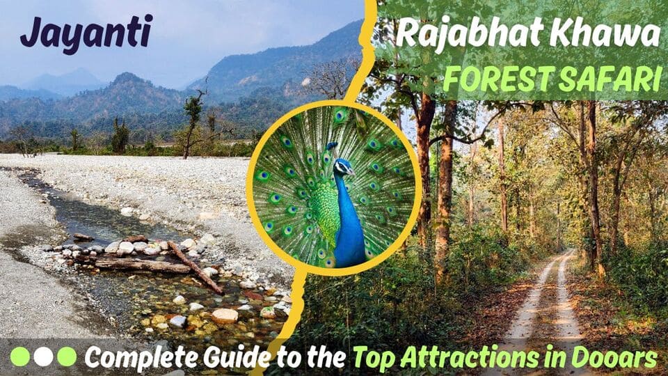 Jayanti – RajaBhatKhawa Forest Safari