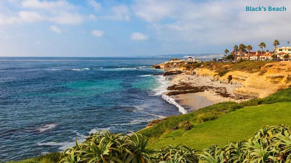 Blacks-Beach-one-of-the-clothing-optional-nude-beaches