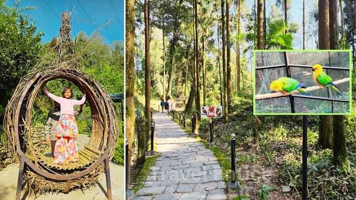 Sidekeong Tulku Bird Park - Top Pelling tourist Places