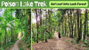 Read more about the article Poison Lake, Sikkim: A Mysterious Trek You Can’t Miss!