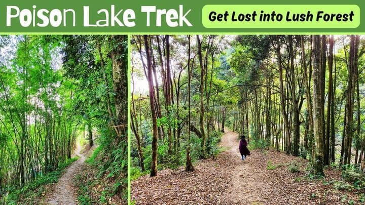 Read more about the article Poison Lake, Sikkim: A Mysterious Trek You Can’t Miss!