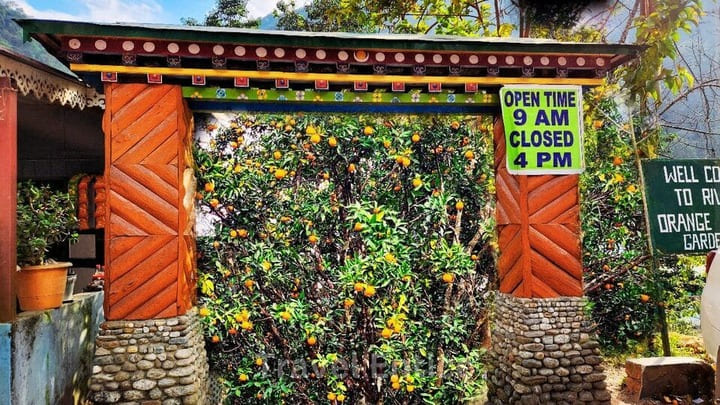 Rimbi Orange Garden - Best Pelling Sightseeing spots