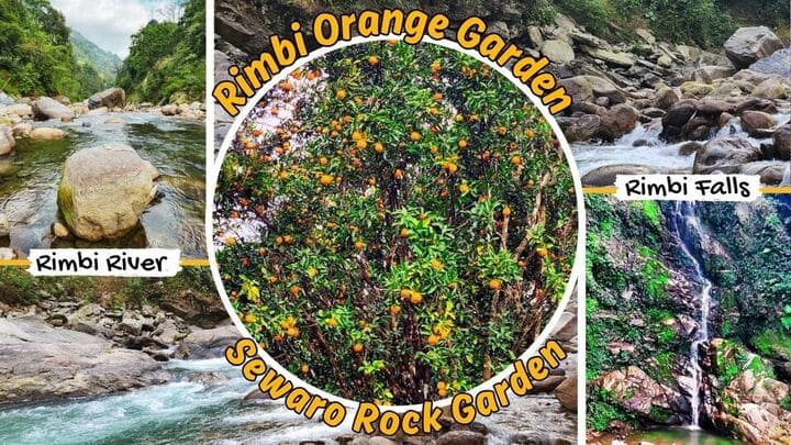 Read more about the article Rimbi Orange Garden, Rimbi River, Sewaro Rock Garden, Rimbi Falls — Explore all in one visit