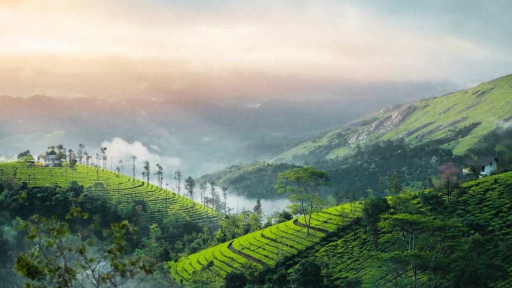 Munnar - 8th among Safe Monsoon Destinations in India