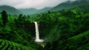 Read more about the article Top 12 Safe Monsoon Destinations in India (July-August 2025)