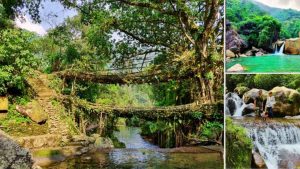 Read more about the article দেখে আসুন ডাবল ডেকার রুট ব্রিজ: চেরাপুঞ্জির কাছে এক অনন্য প্রাকৃতিক বিস্ময়