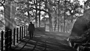 Read more about the article Mussoorie Introduces Mandatory Tourist Registration From 1st August 2025: What Visitors Need to Know