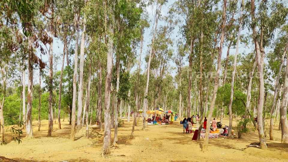 Santiniketan Tour Plan for Weekend Trip 3 Sonajhuri - Must include in Santiniketan Tour Plan