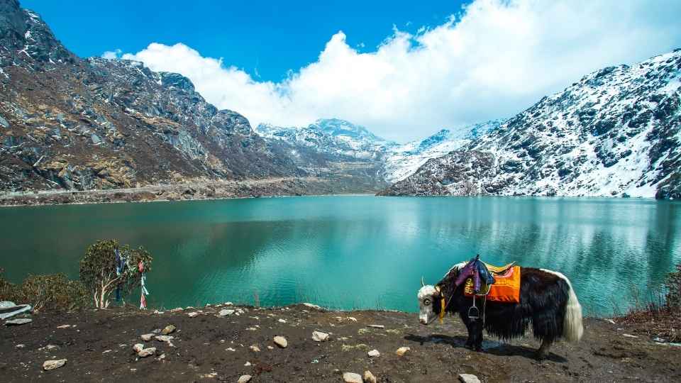 Gangtok is One of the Safest Cities in India for Women Travelers