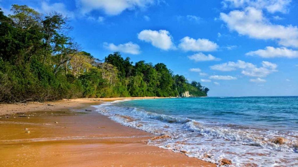Your Perfect Andaman Tour Plan The Ultimate 7Nights–8 Days Island Itinerary - Havelock 4