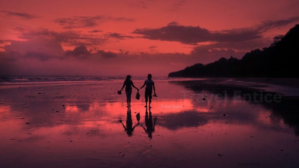 Your Perfect Andaman Tour Plan The Ultimate 7Nights–8 Days Island Itinerary - Havelock 4