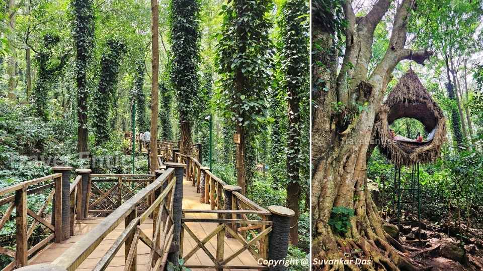 Araku Valley Trip Plan - No.5 Bamboo Bridge and coffee plantation