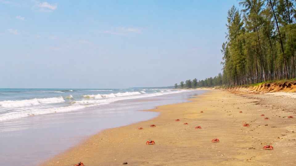Dadanpatrabar Sea Beach