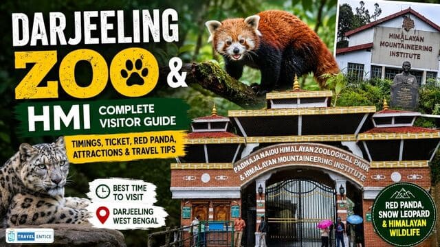 Darjeeling Zoo Travel Guide: Red Pandas, HMI, Timings, Ticket Price & Travel Tips