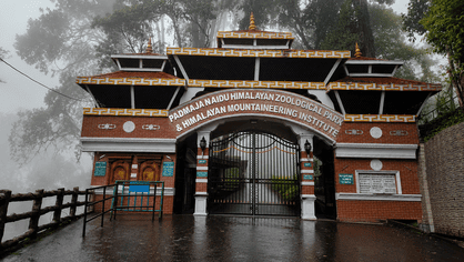 Darjeeling Zoo Travel Guide: Red Pandas, HMI, Timings, Ticket Price & Travel Tips 2 Padmaja Naidu Himalayan Zoological Park - Darjeeling Zoo