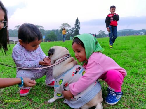 Best places to visit in Shillong - at Golf course with dog 2