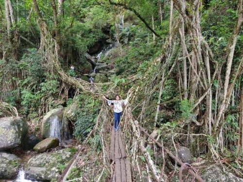 A-Living-Root-Bridge-on-the-way-to-Natural-Swimming-Pool