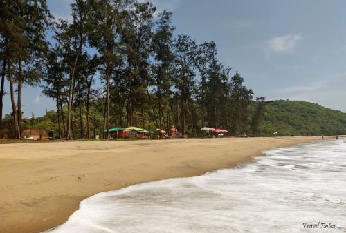 Combination-of-sea-and-tree-in-Keri-beach-in-goa