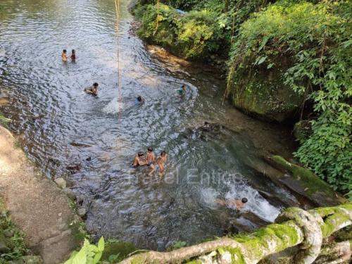 Local-Children-near-Double-Decker-Root-Bridge