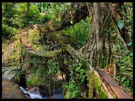 Me-at-Double-Decker-Root-Bridge