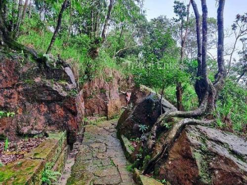 Trail-at-Garden-of-Caves