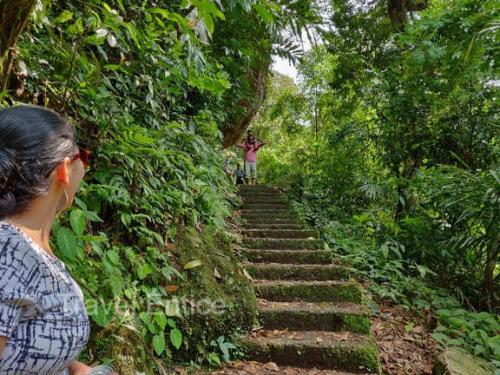 Trekking-towards-Double-Decker-Root-Bridge