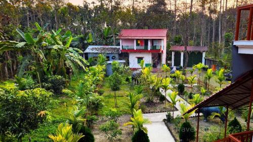 View-of-Orchid-Homestay-from-top-2