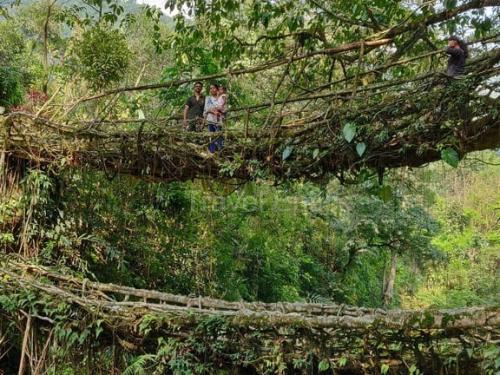 We-are-at-Double-Decker-Root-Bridge