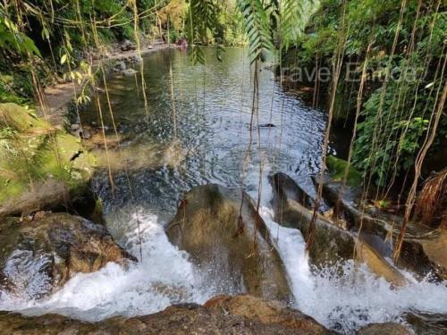 flowing-water-below-Double-Decker-Living-Root-Bridge