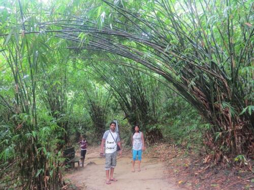 under-the-bamboos-on-the-way-to-limestone-cave-of-Baratang-Island